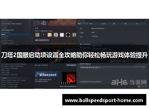 刀塔2国服启动项设置全攻略助你轻松畅玩游戏体验提升