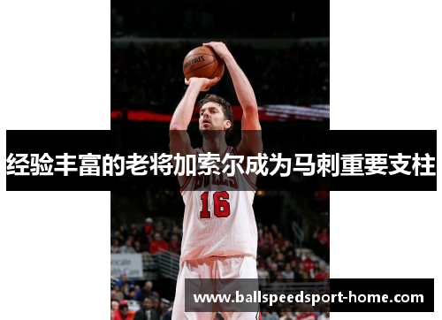 经验丰富的老将加索尔成为马刺重要支柱